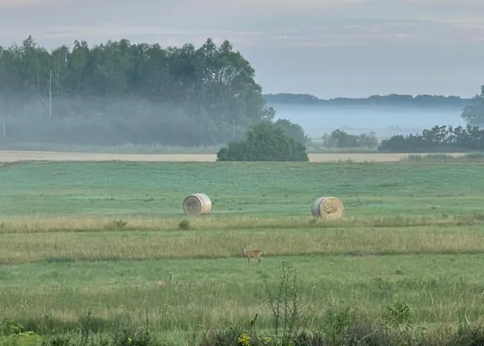 Apartment Altrhein Hideaway Riedstadt