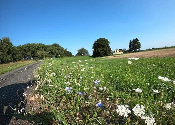 Apartment Altrhein Hideaway